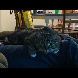 Meet your Posher, Sela